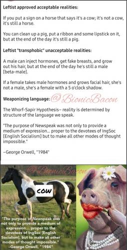 03:33:23 GMT-0500 (CDT)