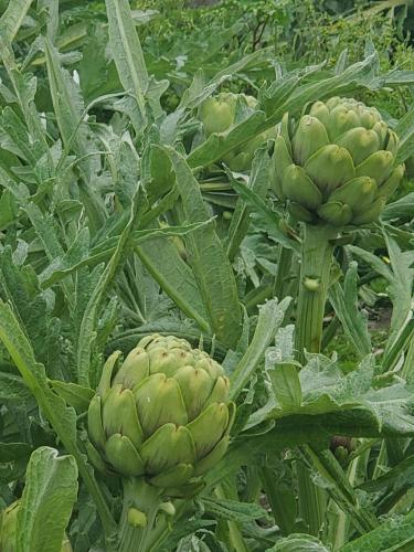 20:09:30 GMT-0700 (PDT)