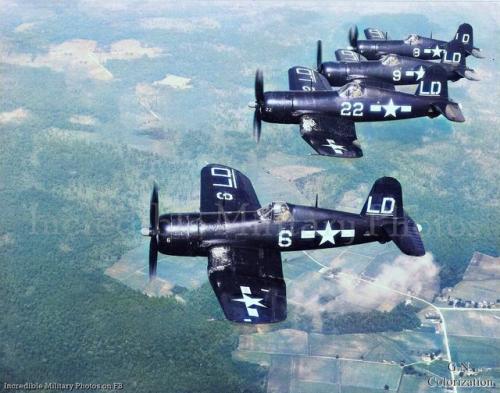 175528487_3718832404891780_7108166083067915377_n