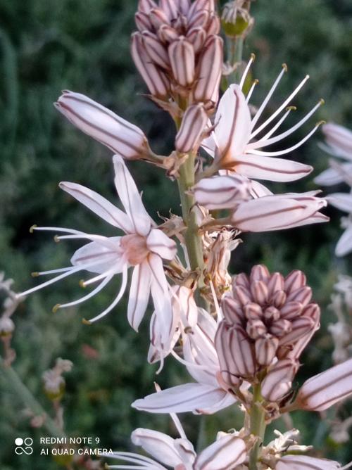 IMG_20210214_155856 (1)