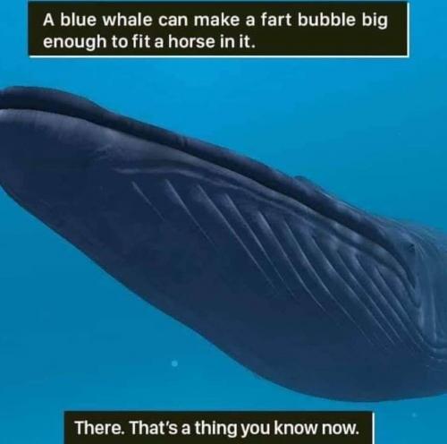 11:03:25 GMT-0500 (CDT)