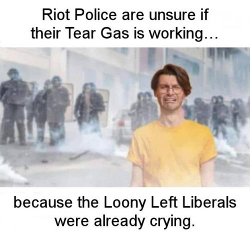 zlibtards230