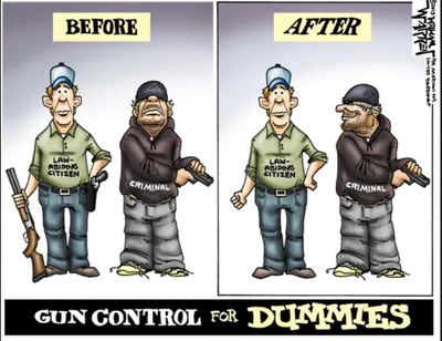 gun control