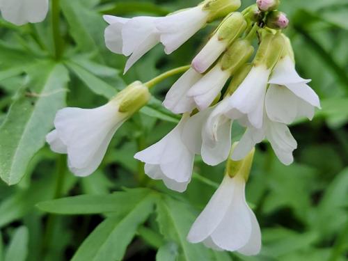 14:28:35 GMT-0500 (CDT)