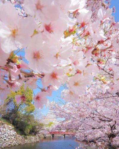 179240499_2842390942644030_3084729838815318119_n