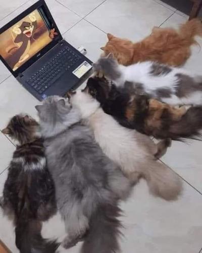 15:14:28 GMT-0700 (PDT)