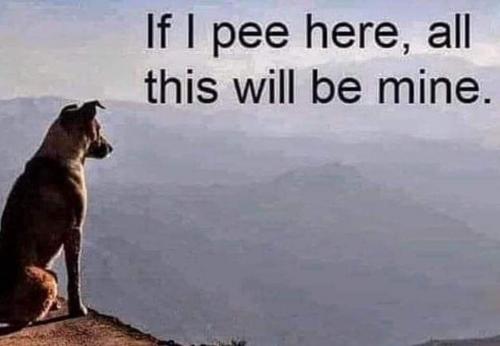 19:18:01 GMT-0500 (CDT)