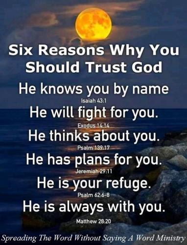 173126310_592061258421909_6076794869781806521_n