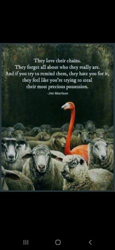 19:21:01 GMT-0500 (CDT)