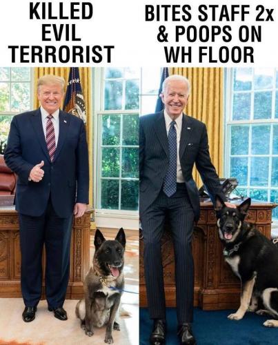 B8C54B10-7C4E-4E6B-9ACC-66781C8D0E71