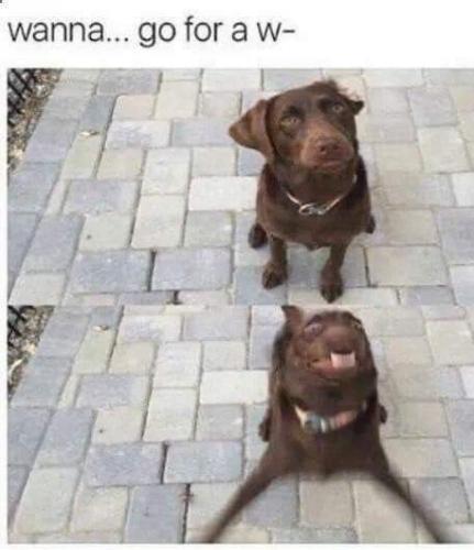 21:50:52 GMT-0500 (CDT)