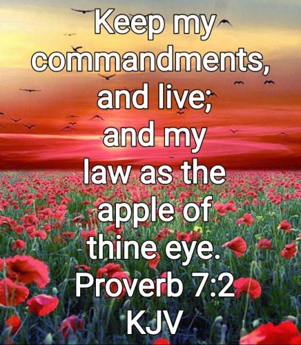 03:55:05 GMT-0700 (PDT)