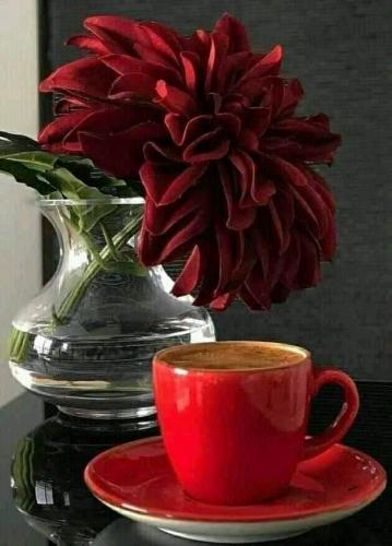 08:19:48 GMT-0500 (CDT)