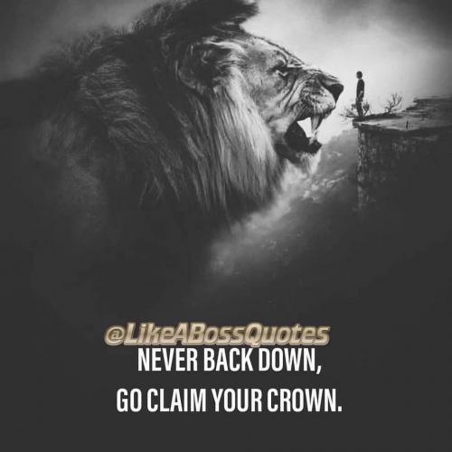 81752283_2693531797408637_1734033045066874880_n