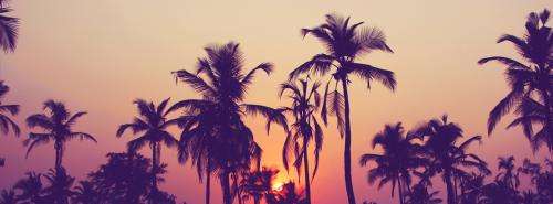 nature-design
