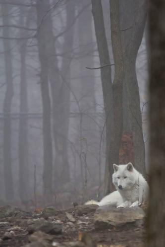 24862219_10208141505295549_3239975193247824388_n