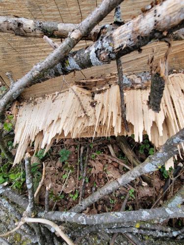 14:31:18 GMT-0500 (CDT)