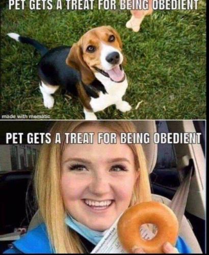 170273081_10220348797892137_6073649435363050075_n