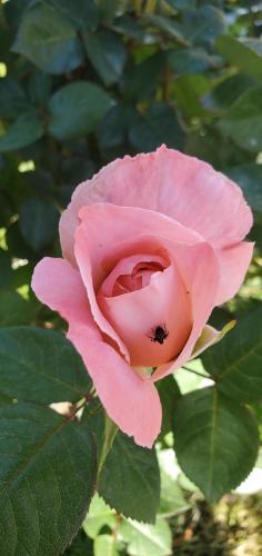 17:54:52 GMT-0700 (PDT)