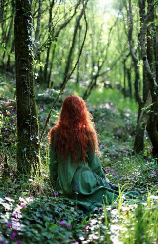 tumblr_fea6d565b5a1b69cb76a6419e270e4cd_c6e23bd8_500