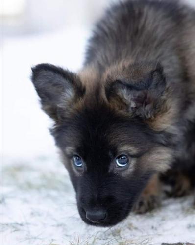 20:07:32 GMT-0500 (CDT)