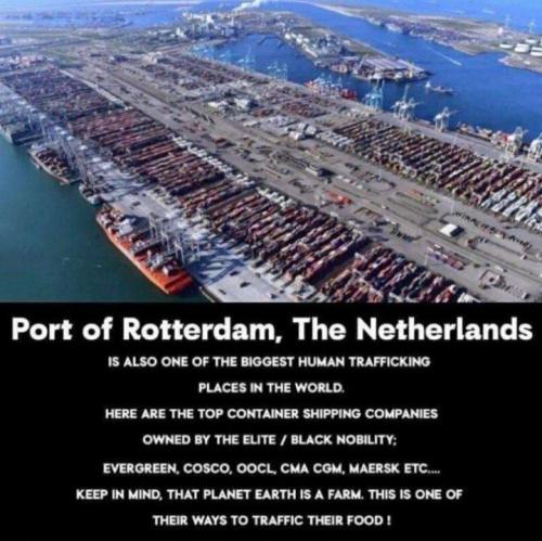 3748152A-B2C6-461E-8033-C3597D444ED6