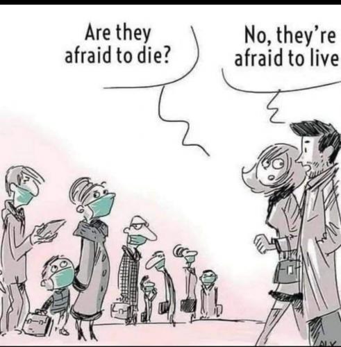 173563273_2733513843626910_8576748230855631746_n