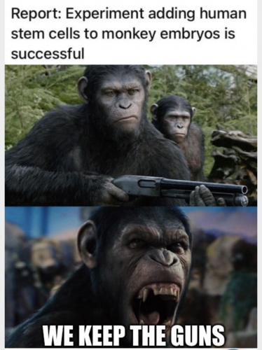 07:05:12 GMT-0500 (CDT).image