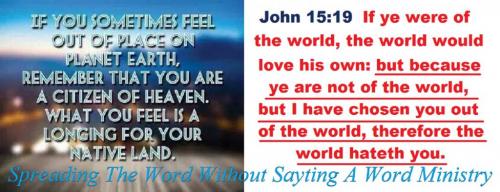 10469437_819909458053770_1058428355092540160_n