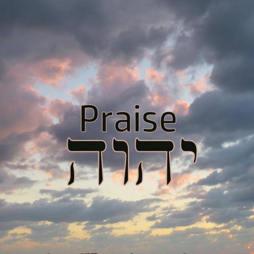 58375076_2062270863898856_5821237491465715712_o