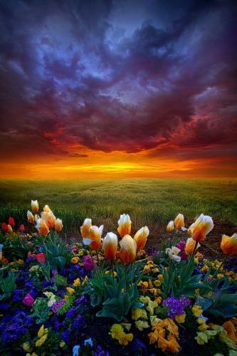 21:04:46 GMT-0500 (CDT)