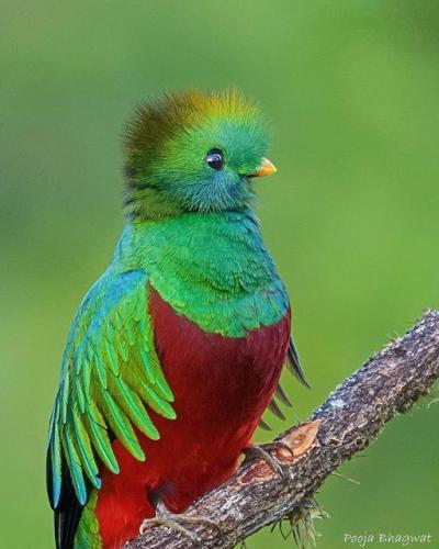 174713726_1849174648582072_1293171121743019473_n