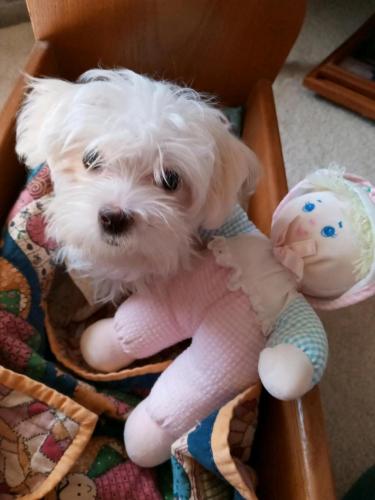 !cid_20210426_103420