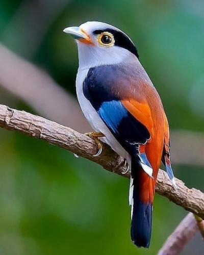 173153475_1844756925690511_4809851779145587201_n