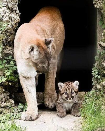 16:43:12 GMT-0500 (CDT)