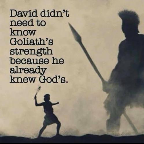 89474164_101901291448057_4297110377306521600_o