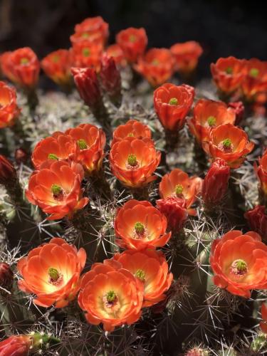 14:13:14 GMT-0700 (MST).image