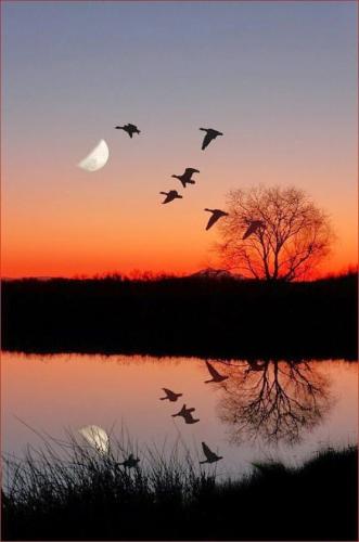 21:00:48 GMT-0500 (CDT)