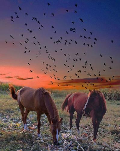 11:40:43 GMT-0500 (CDT)