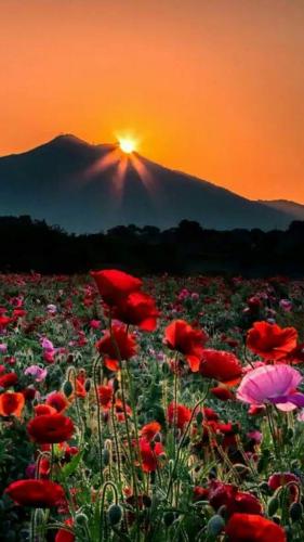 21:03:59 GMT-0500 (CDT)