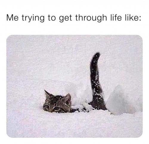 FB_IMG_1618479944251