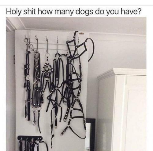 FB_IMG_1618875336121