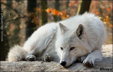 10:48:45 GMT-0500 (CDT)