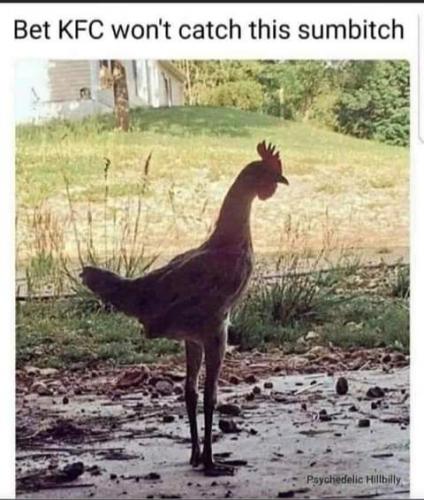 17:43:59 GMT-0700 (PDT)