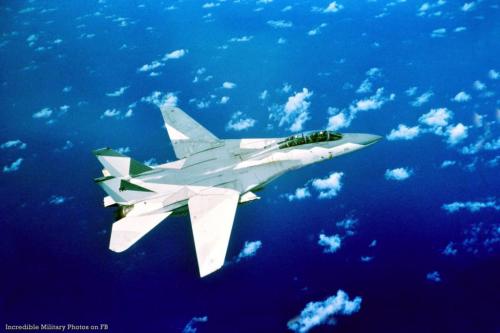 174490870_3713036345471386_8282236559692507954_n