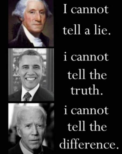 biden481
