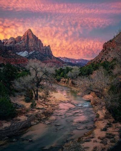 173419274_1845402845625919_1364175019214832414_n