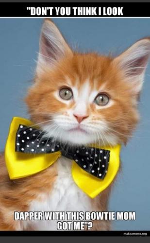 21:22:14 GMT-0700 (PDT)