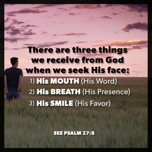 71859999_10157515438038334_1622572020896104448_n