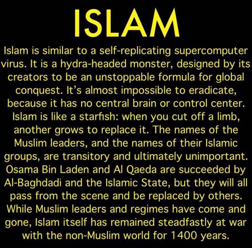 73236069_144330863599714_9182075702965436416_n